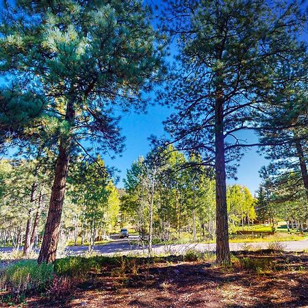 Pinon Pines Βίλα South Fork Εξωτερικό φωτογραφία